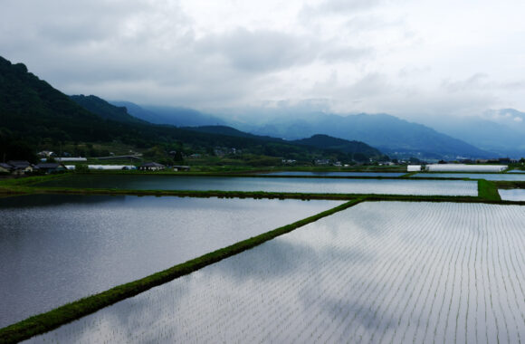 at KUMAMOTO by GFX100RF