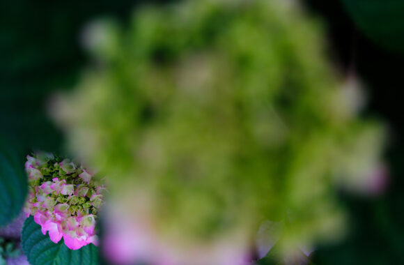 at ASA-SANPO by X-T5 & A23F1.4DN