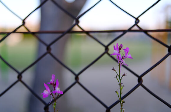 at ASA-SANPO by X-T5 & A23F1.4DN