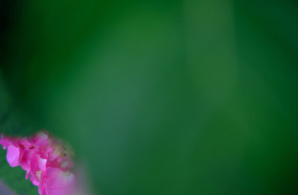 at ASA-SANPO by X-T5 & XF50F2.0