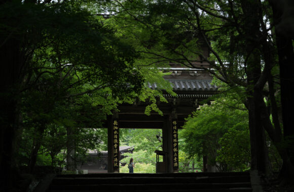 at YAMAGUCHI by α7R5 & FE50_150F2.0GM