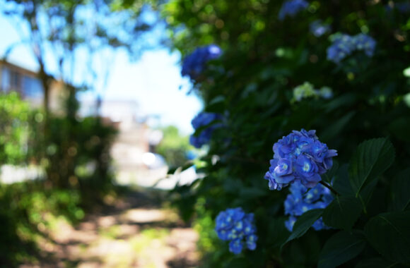 at SAGA by α7R2 & A35F1.4DN