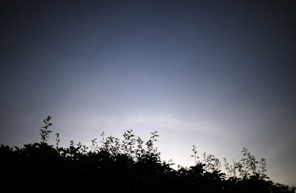 YUU SANPO by Df & AF-S35F1.8G