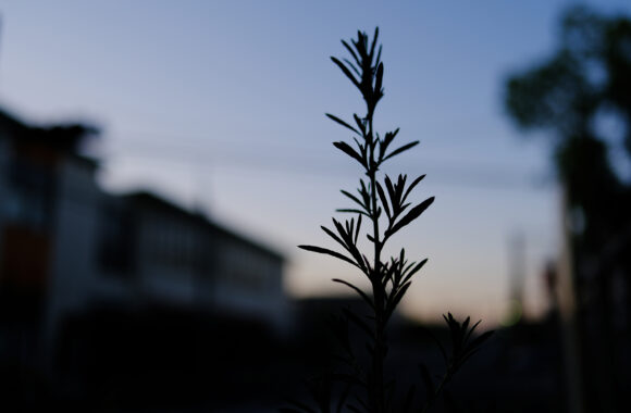 at ASA SANPO by X-T5 & A23F1.4