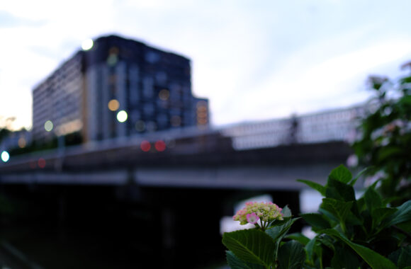 at YUU SANPO by X-T5 & A23F1.4