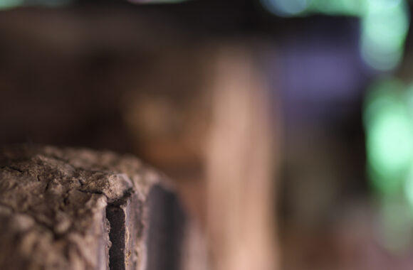 at KUMAMOTO by D850 & A50F1.4