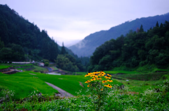 at HIROSHIMA by X-H2 & XF33F1.4