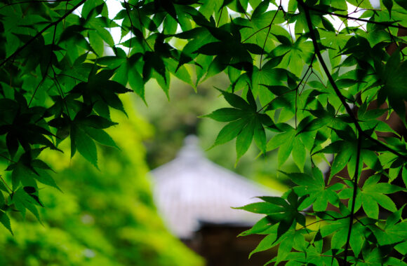 at HIROSHIMA by X-H2 & XF33F1.4