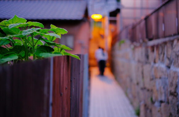 at HIROSHIMA by X-H2 & XF33F1.4