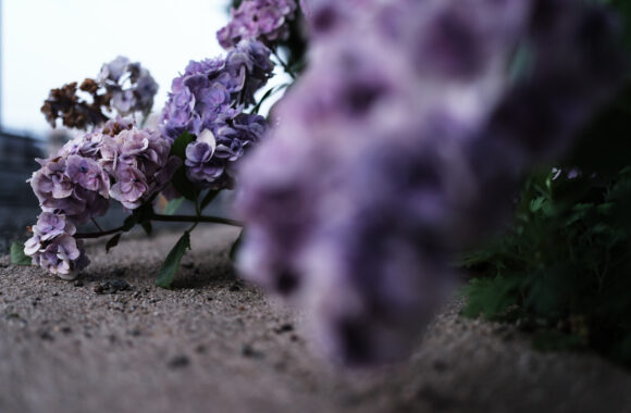 at ASA SANPO by X-T5 & A23F1.4DN