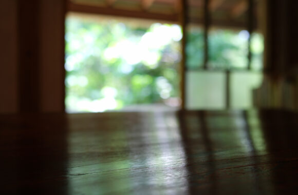 at SAGA by X-T5 & A23F1.4DN