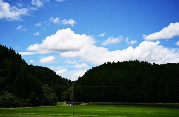 at SAGA by Z6 & VM50F1.2Ⅱ