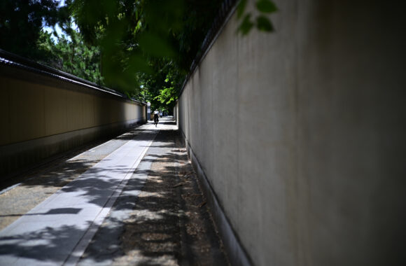 at ASA SANPO by Z6 & VM50F1.2Ⅱ