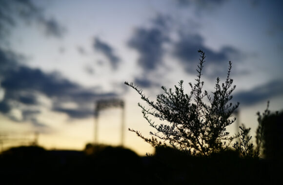 at ASA SANPO by Z6 & VM50F1.2Ⅱ