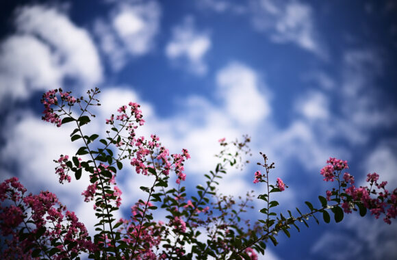 at HIROSHIMA by Z6 & VM50F1.2Ⅱ