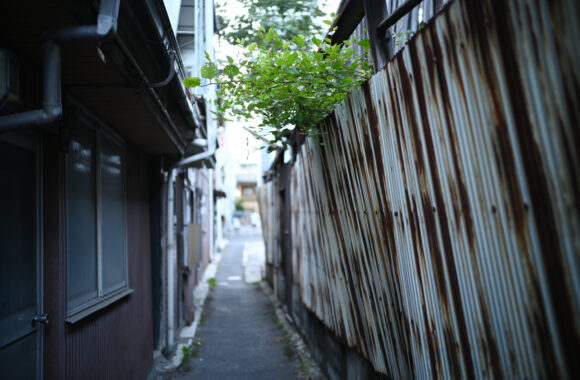at HIROSHIMA by Z6 & VM35F1.5VLⅡ