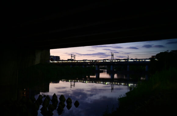 at YUU SANPO by Z6 & VM35F1.5Ⅱ