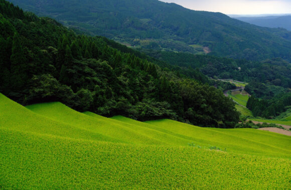 at SAGA by X-E5 & XF23F2.8R WR