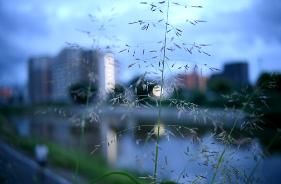 at ASA SANPO by Z6 & VM35F1.5VLⅡ
