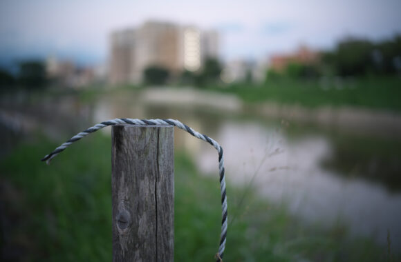 at ASA SANPO by Zf & VM35F1.5VLⅡ