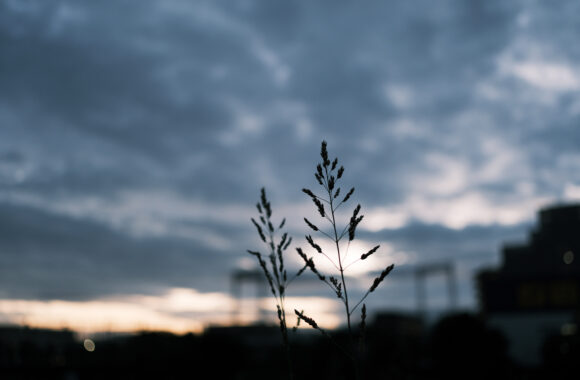 at ASA SANPO BY X-T5 & A23F1.4