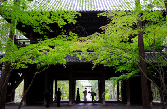 at OKAYAMA by GFX50s2 & GF50F3.5