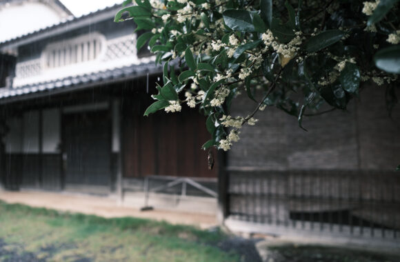 at OKAYAMA by X-T5 & A23F1.4