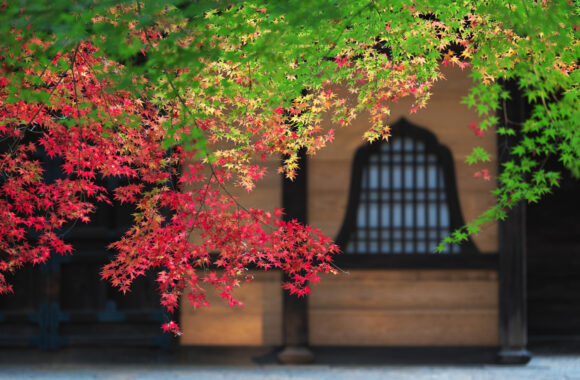 at OKAYAMA by α7c2 & FE50_150F2.0GMM