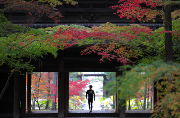 at OKAYAMA by α7c2 & FE50_150F2.0GMM