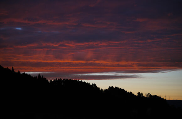 at OITA by α7c2 & FE50_150F2.0GM
