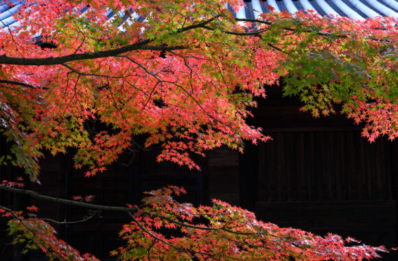 at HAKATA by X-T5 & XF50F2.0