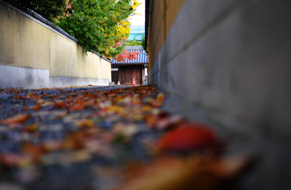 at HAKATA by X-T5 & XF50F2.0