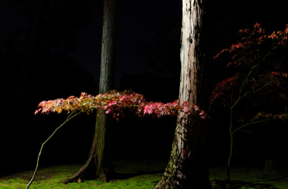 at OKAYAMA by GFX100RF & GF35F4