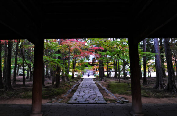 at OKAYAMA by GFX100RF & GF35F4