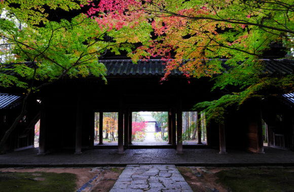 at OKAYAMA by GFX100RF & GF35F4