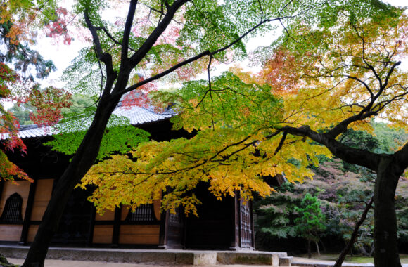 at OKAYAMA by GFX100RF & GF35F4