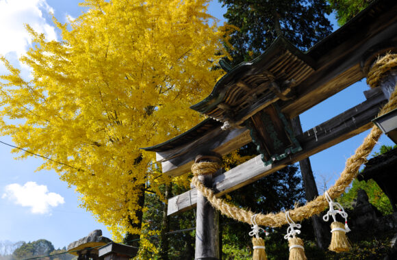 at OKAYAMA by GFX100RF & GF35F4