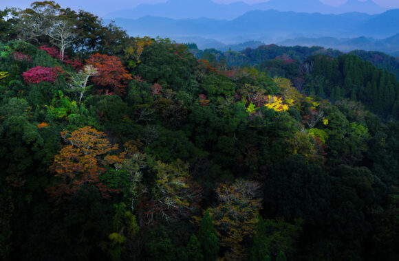 at OITA by GFX100s2 & GF35-70F4.5