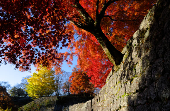 at OITA by GFX100S2 & GF35_70F4.5