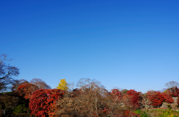 at OITA by GFX100S2 & GF35_70F4.5