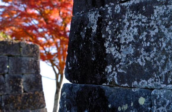 at OITA by GFX100S2 & GF35_70F4.5