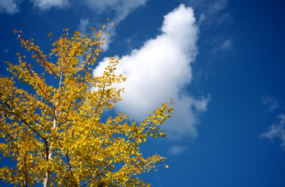 at SANPO by Z72 & VM50F1.5VL