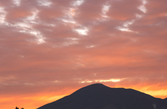at OITA by D850 & AF-S85F1.8G