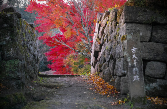at OITA by DP3 Merrill