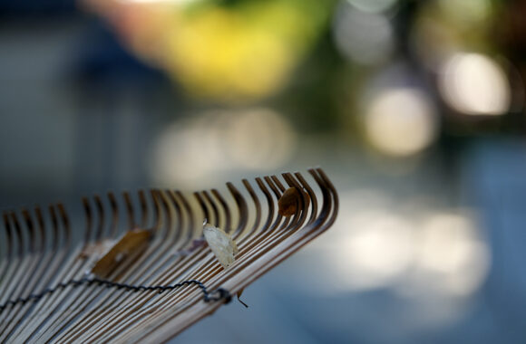 at HAKATA by α7c2 & FE50_150F2.0GM