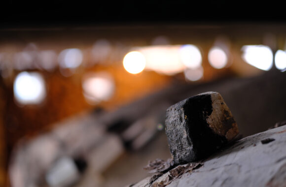 at KAGOSHIMA by X-T5 & S56F1.4DN