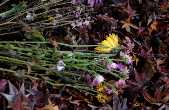 at FUKUOKA by X-T5 & A17-40F1.8