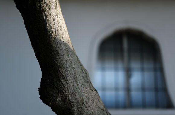 at FUKUOKA by X-T5 & A17_40F1.8