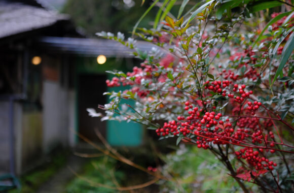 at YAMAGUCHI by X-E5 & XF23F1.4