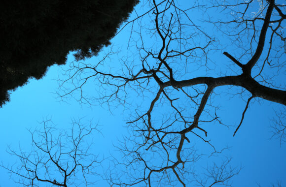 at SAGA by α7R5 & A28_45F1.8